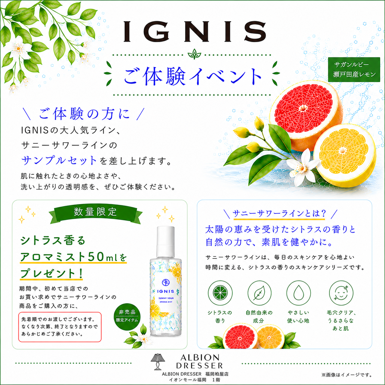 IGNIS 体験会イベント