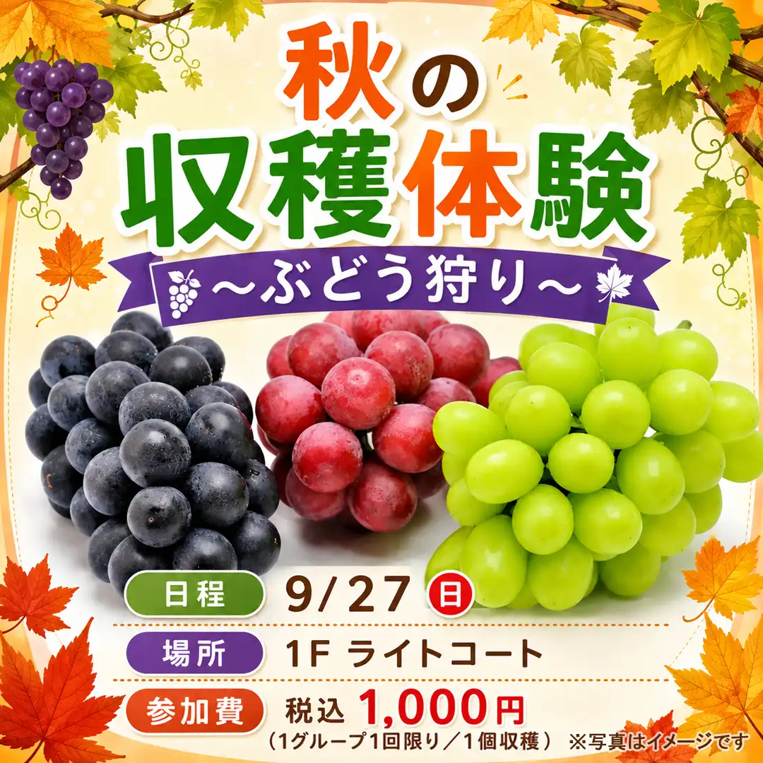 秋の収穫体験 ～ぶどう狩り～