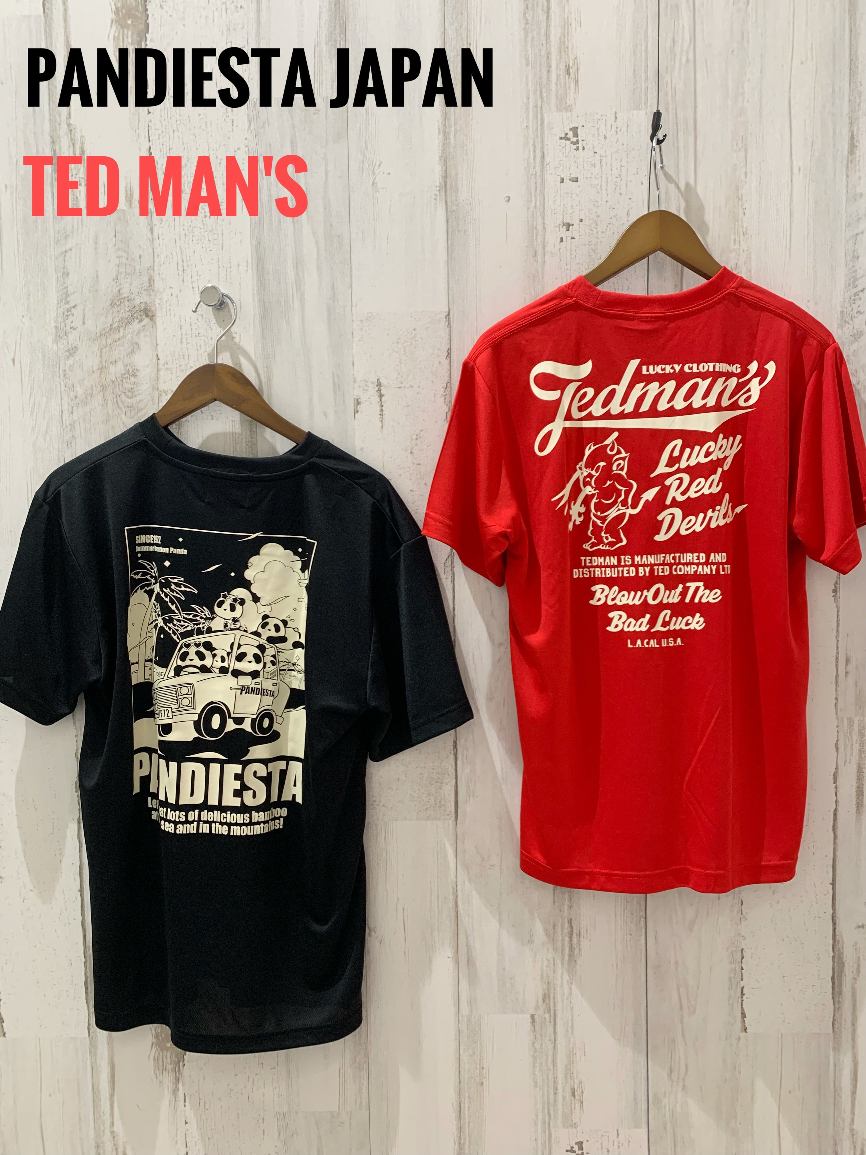 PANDIESTA JAPAN.TED MANS.VANSON ドライT