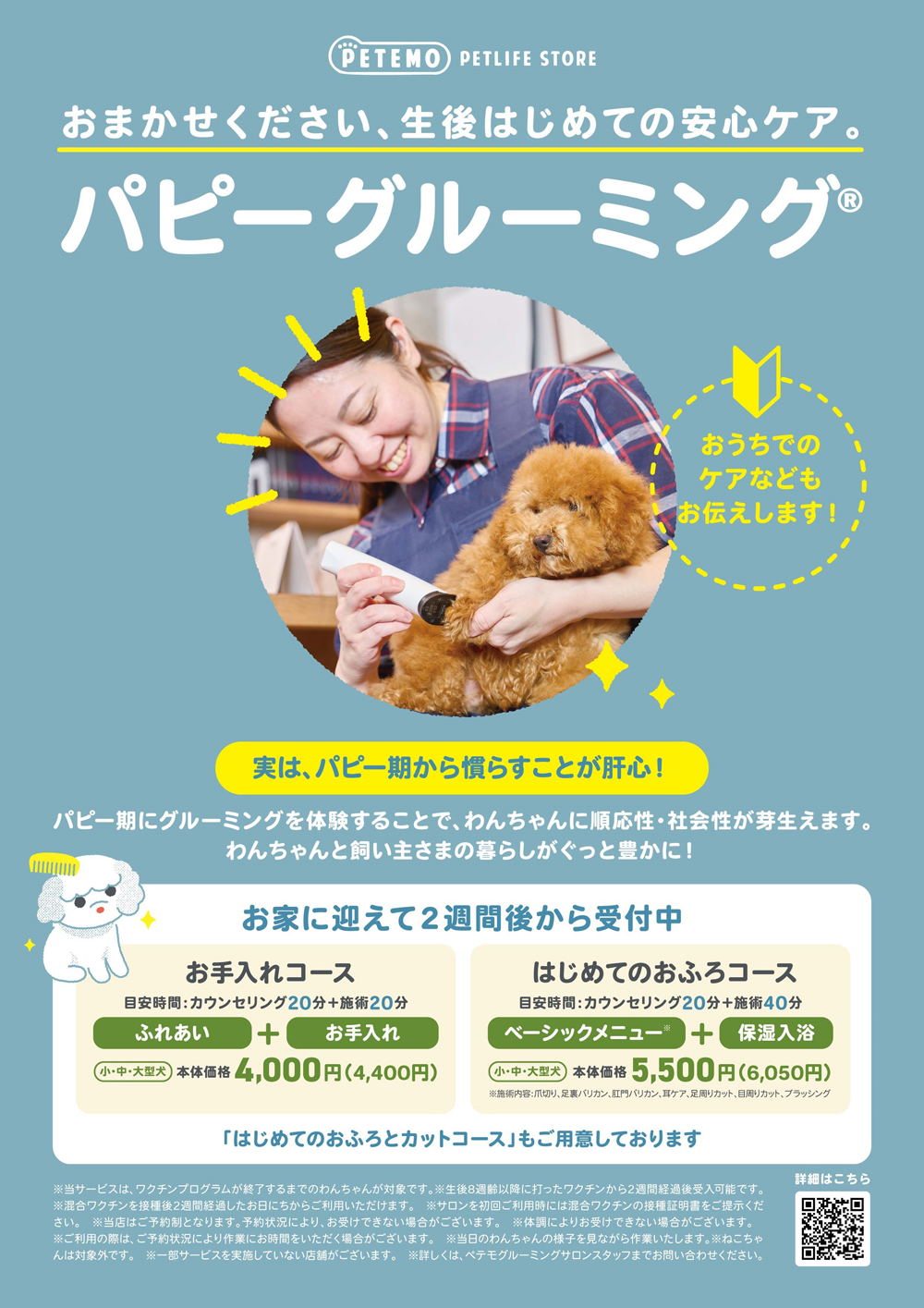 パピーグルーミング受付中