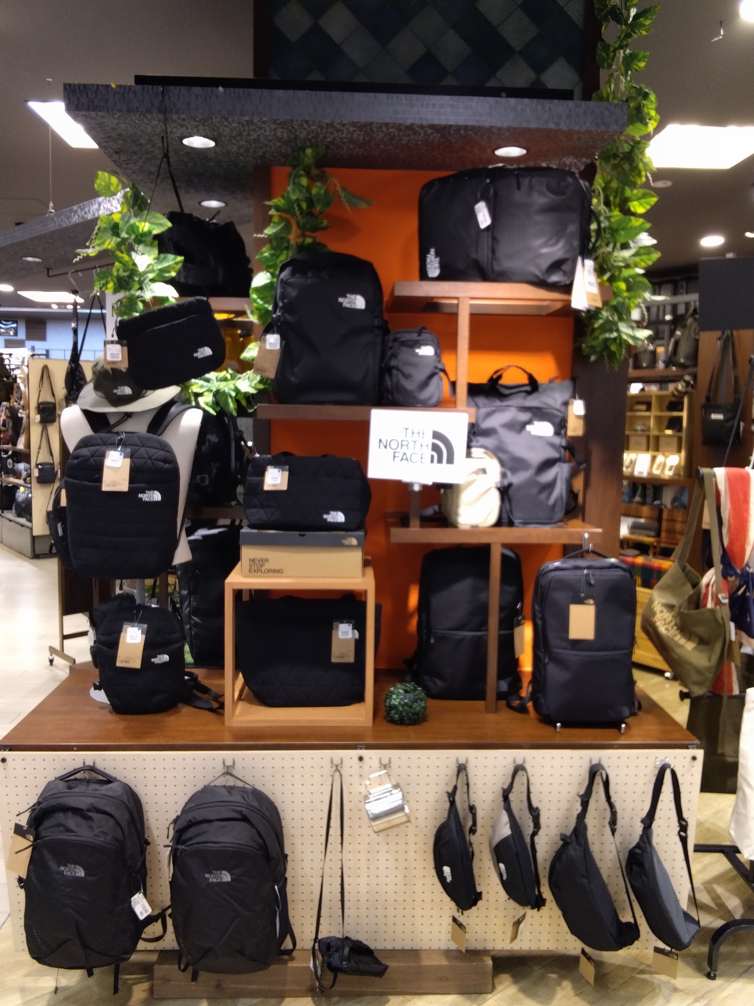 THE NORTH FACE 入荷！