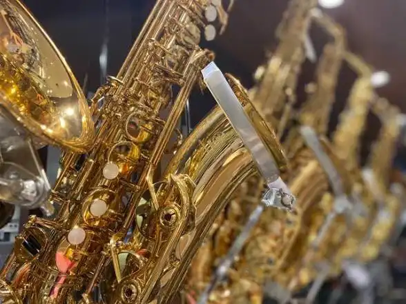音楽の秋はサックスで決まり！