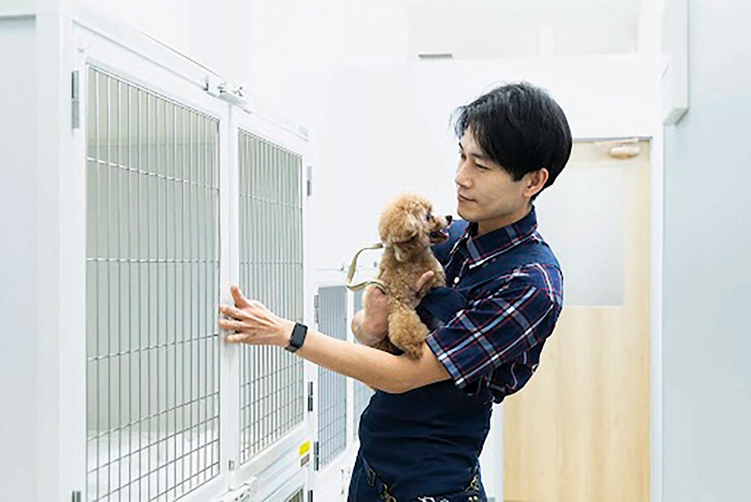 イオンモール限定 16:00～閉店まで限定 ペテモグルーミングサロン 2,500円（税抜）以上ご利用でショートステイ（一時お預かり）1時間無料！