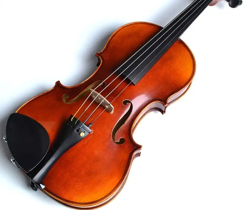 やってみたいを形に!ヴァイオリン教室生徒募集中!【島村楽器の音楽教室】