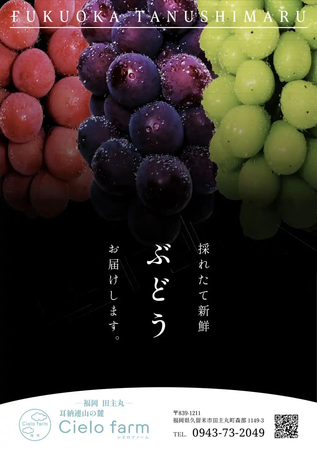 ぶどう販売
