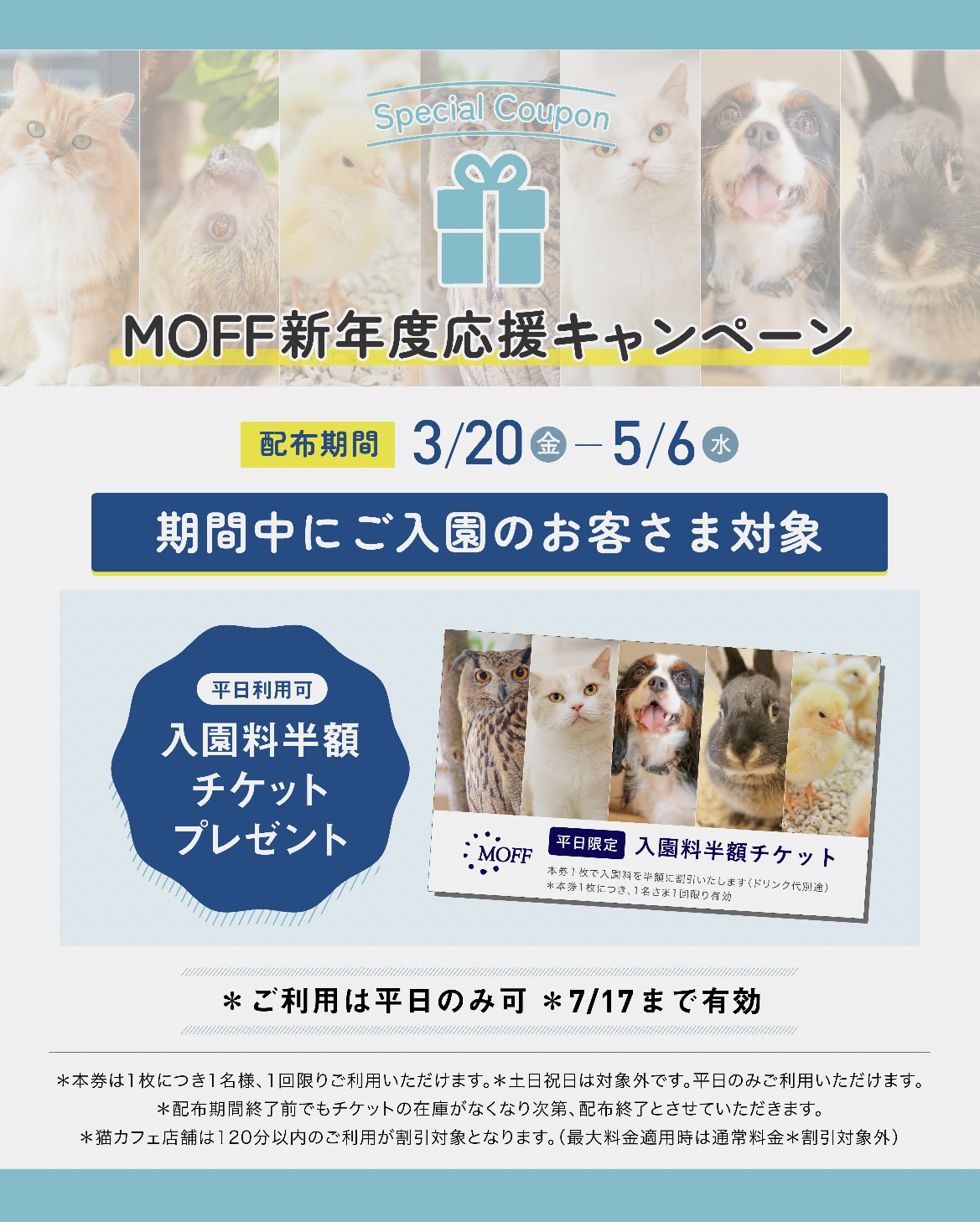 MOFF新年度応援キャンペーン　入園料50%OFFチケットプレゼント