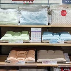 女性のお悩みに沿ったまくらが新登場あなたはどのタイプ？