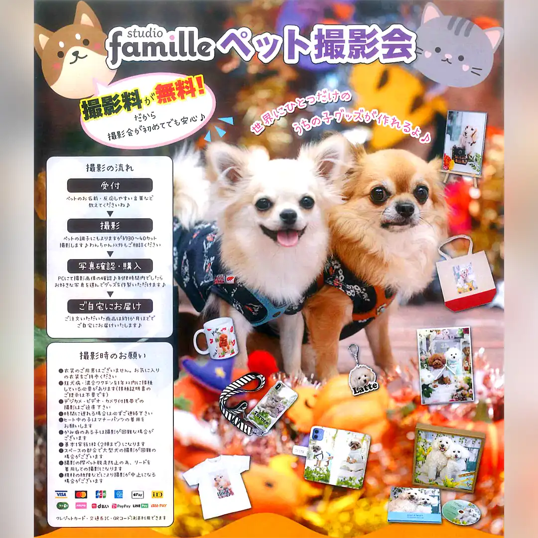 スタジオファミーユ ペット撮影会