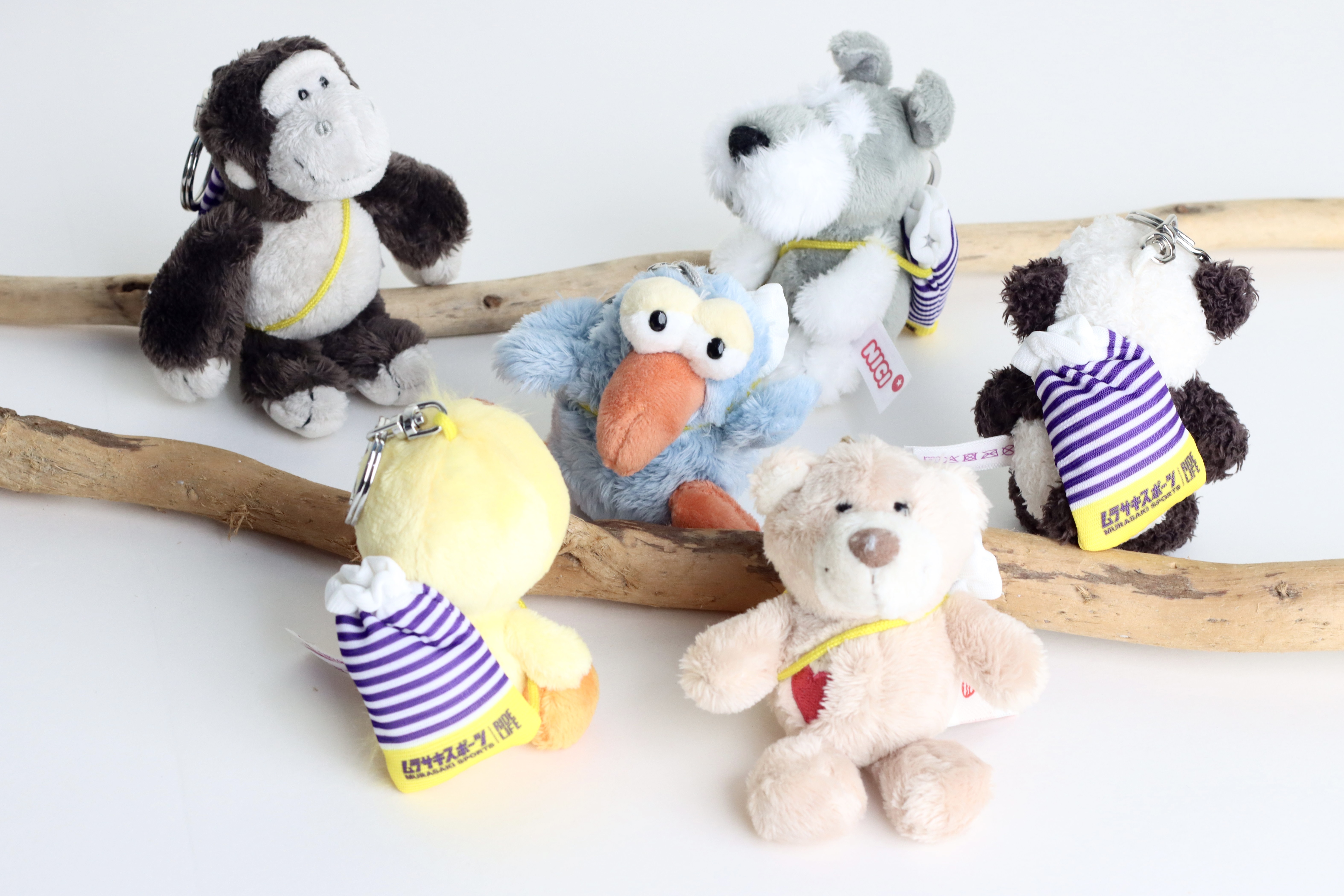 《限定アイテム》ムラサキスポーツ×NICI