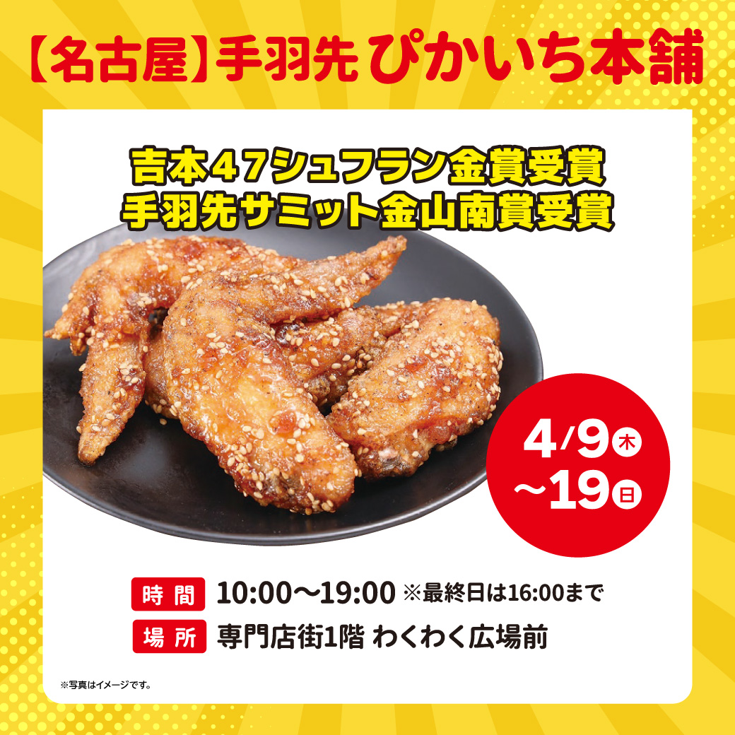 【名古屋】手羽先 ぴかいち本舗