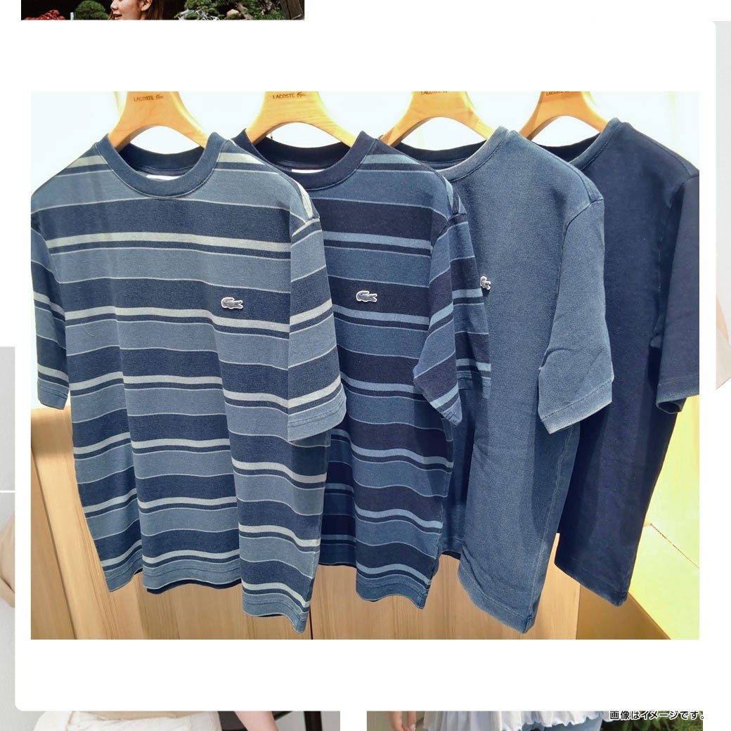 Tシャツ_ラコステ