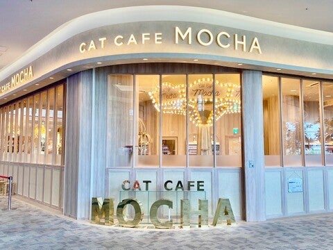 ショップ｜猫カフェMOCHA｜イオンモール羽生