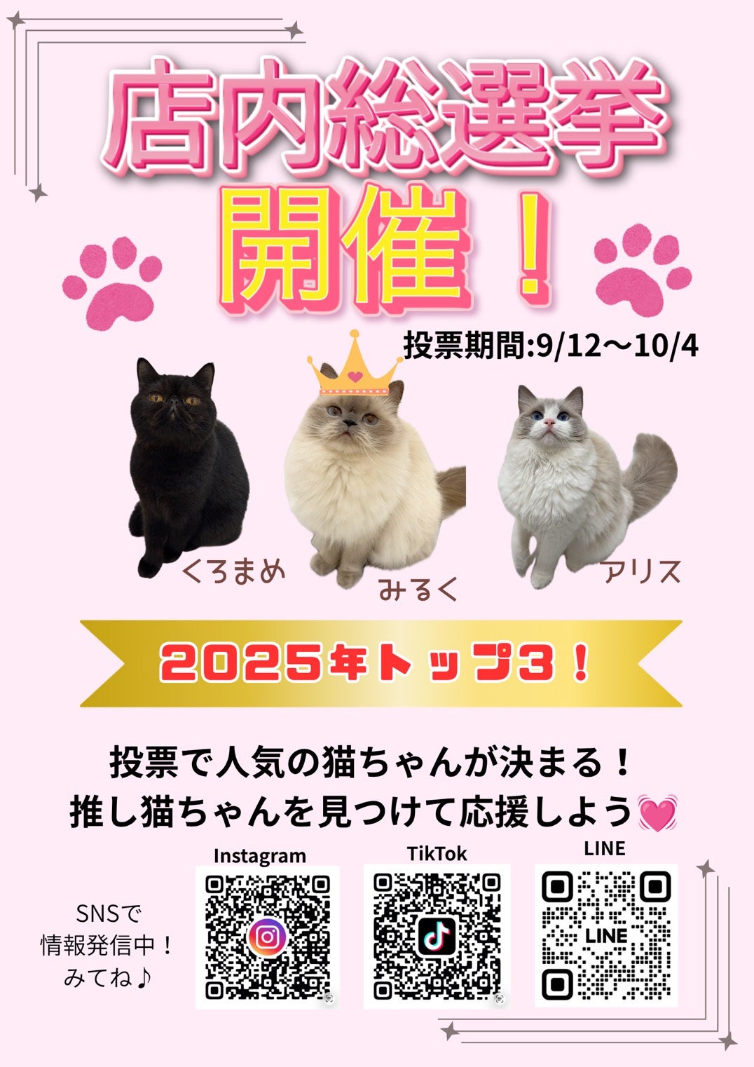 猫Love さま専用ページ ニュース｜ぷちまり店内総選挙2026開催！｜イオンモールつくば