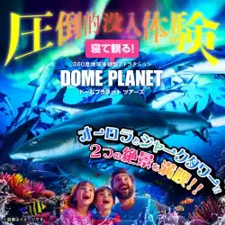 サメの大群と美しいオーロラの輝きbyドームプラネット