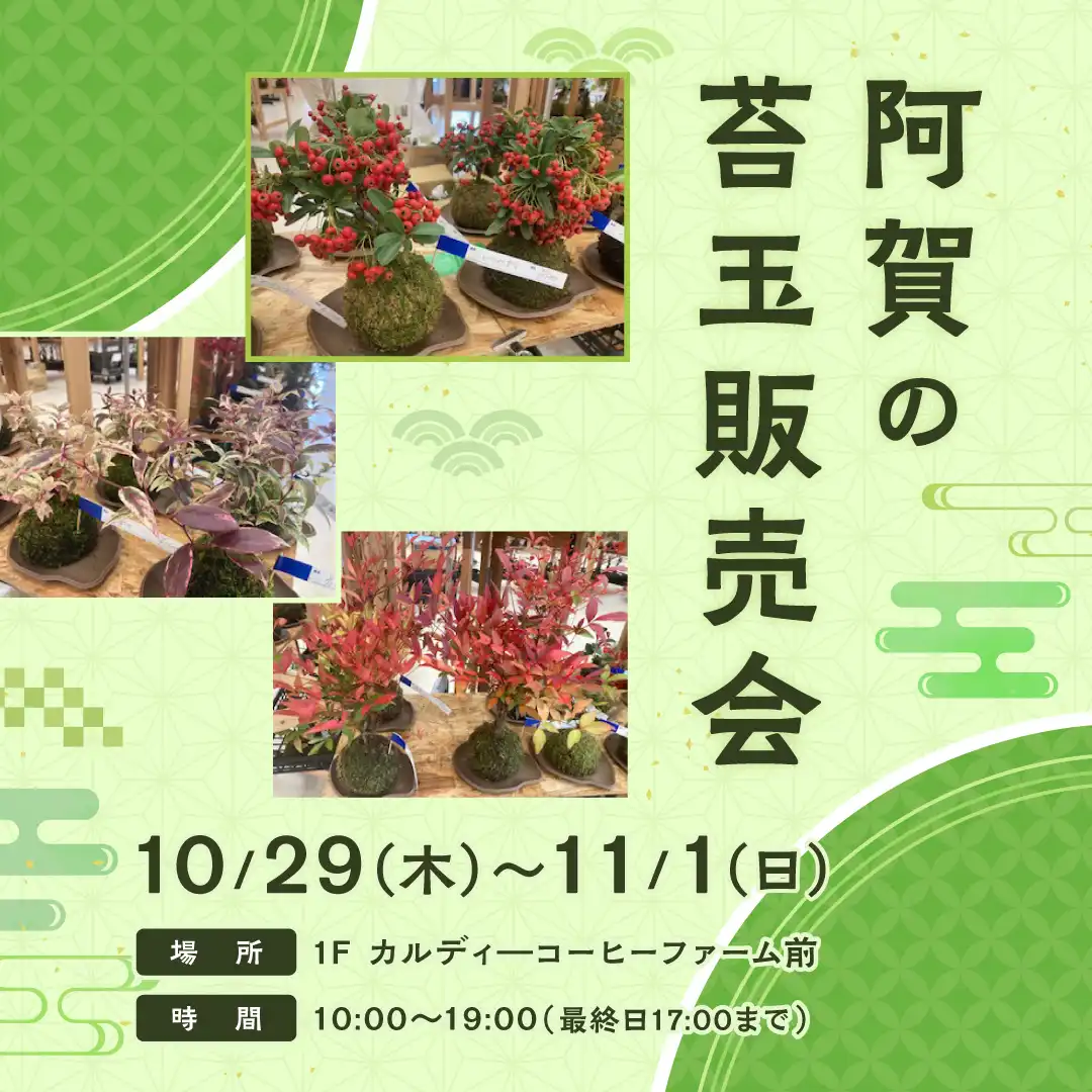 阿賀の苔玉販売会
