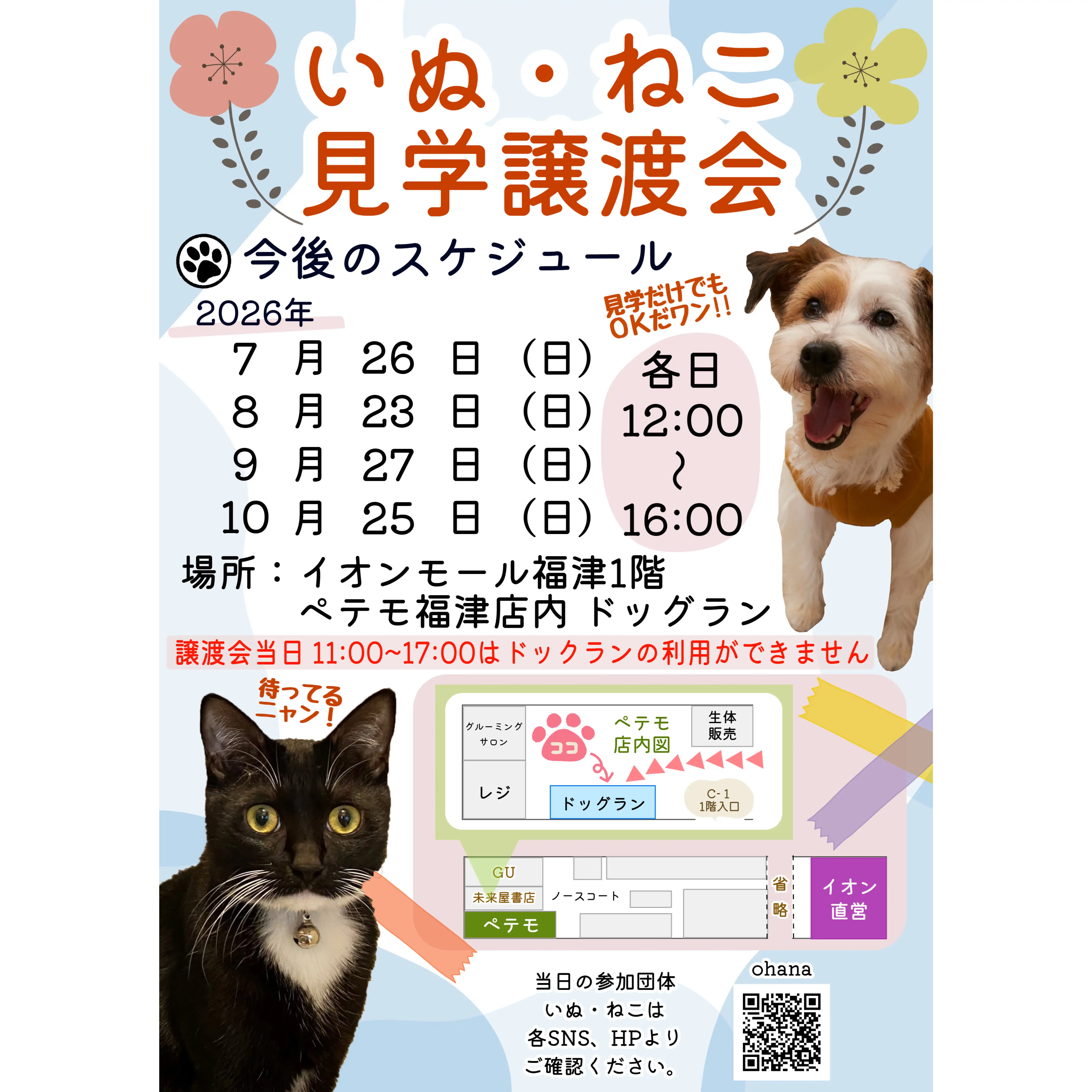 いぬ・ねこ見学譲渡会