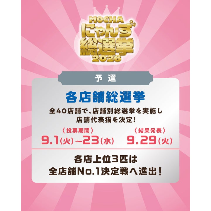 ニュース｜ショップニュース｜【mori】【MOCHAにゃんず総選挙2026