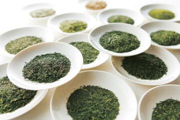 綱島園いっぷく茶房