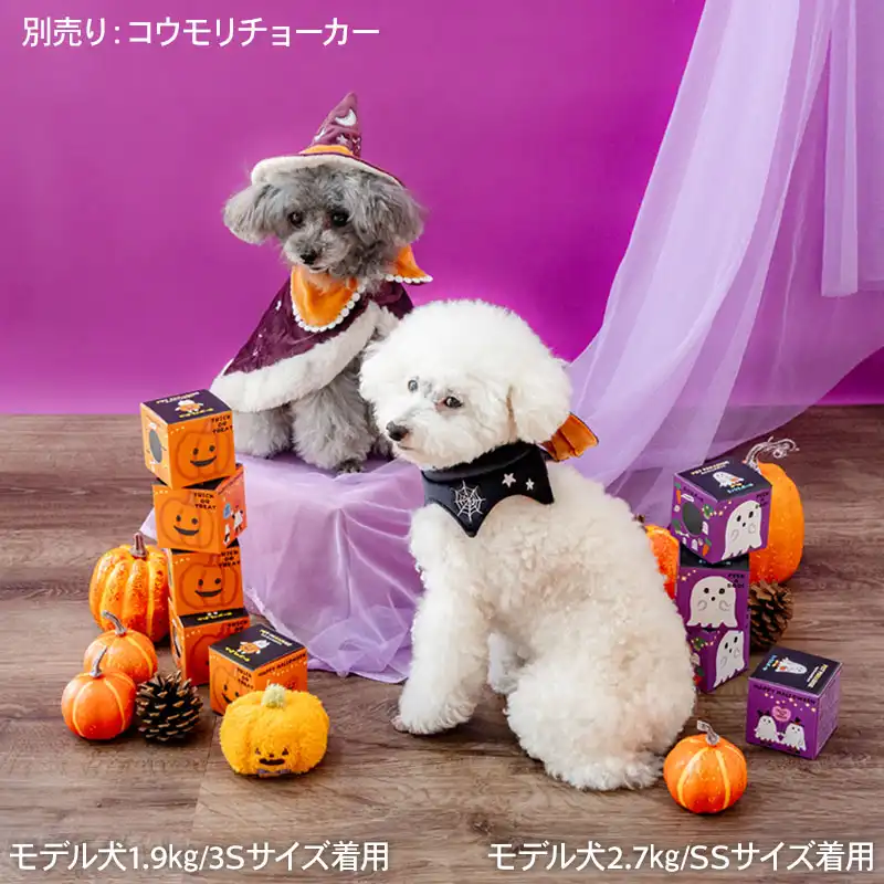 ハロウィンコスチャーム