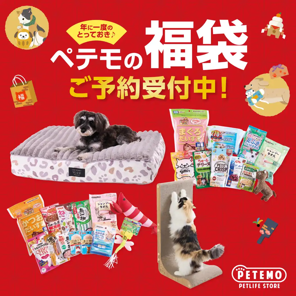 ペテモの福袋2026 ご予約開始!!