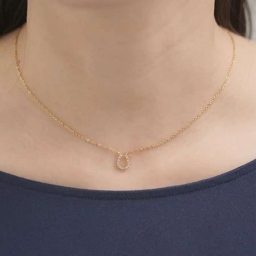 【金属アレルギー対応 316L】プチホースシューステンレスネックレス