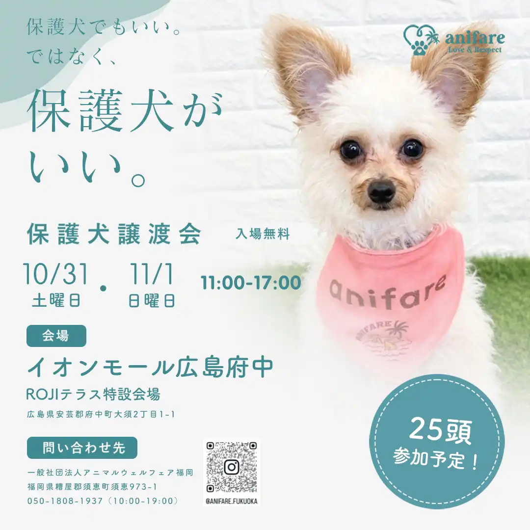 保護犬譲渡会
