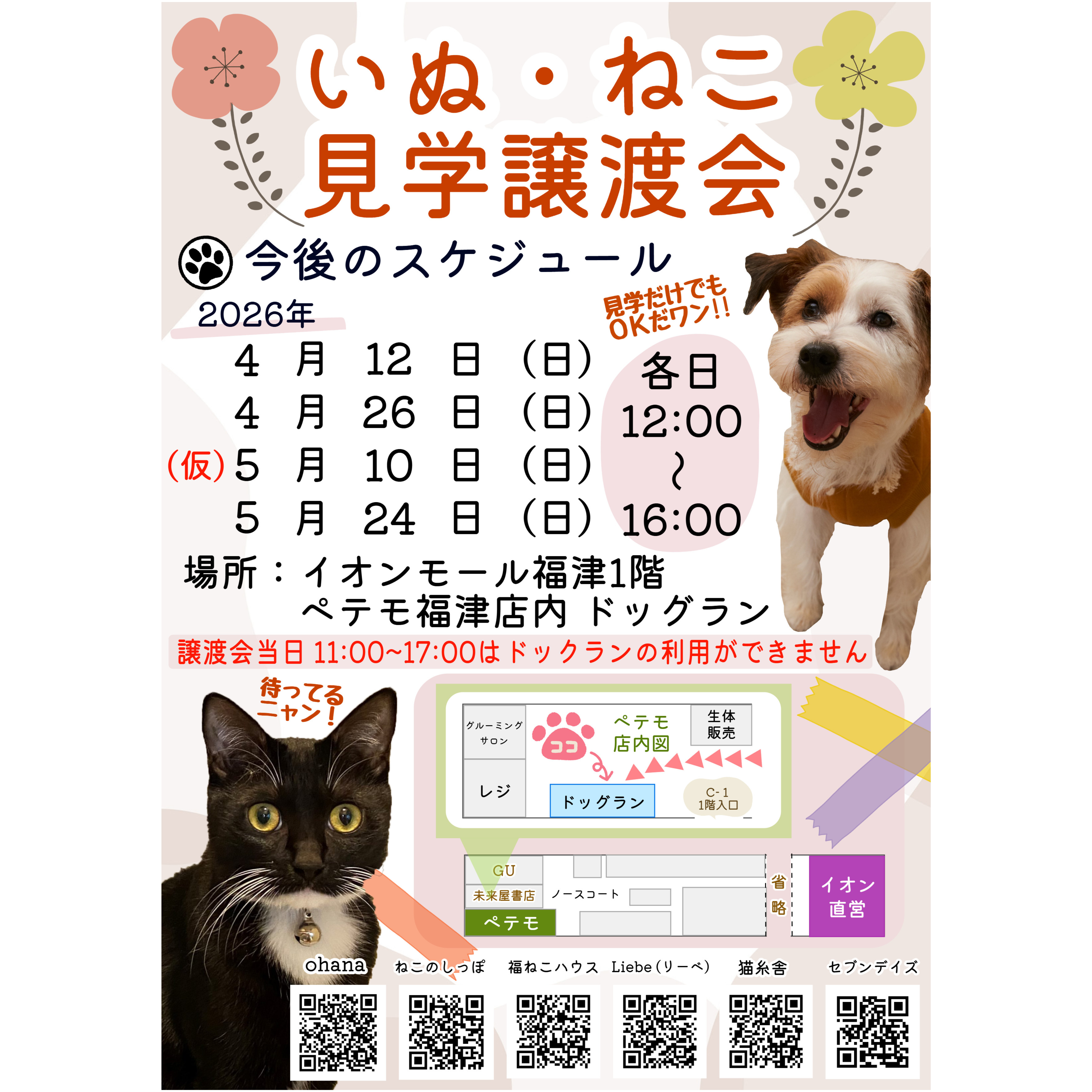 いぬ・ねこ見学譲渡会