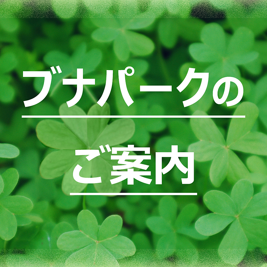 ブナパーク 開園のご案内