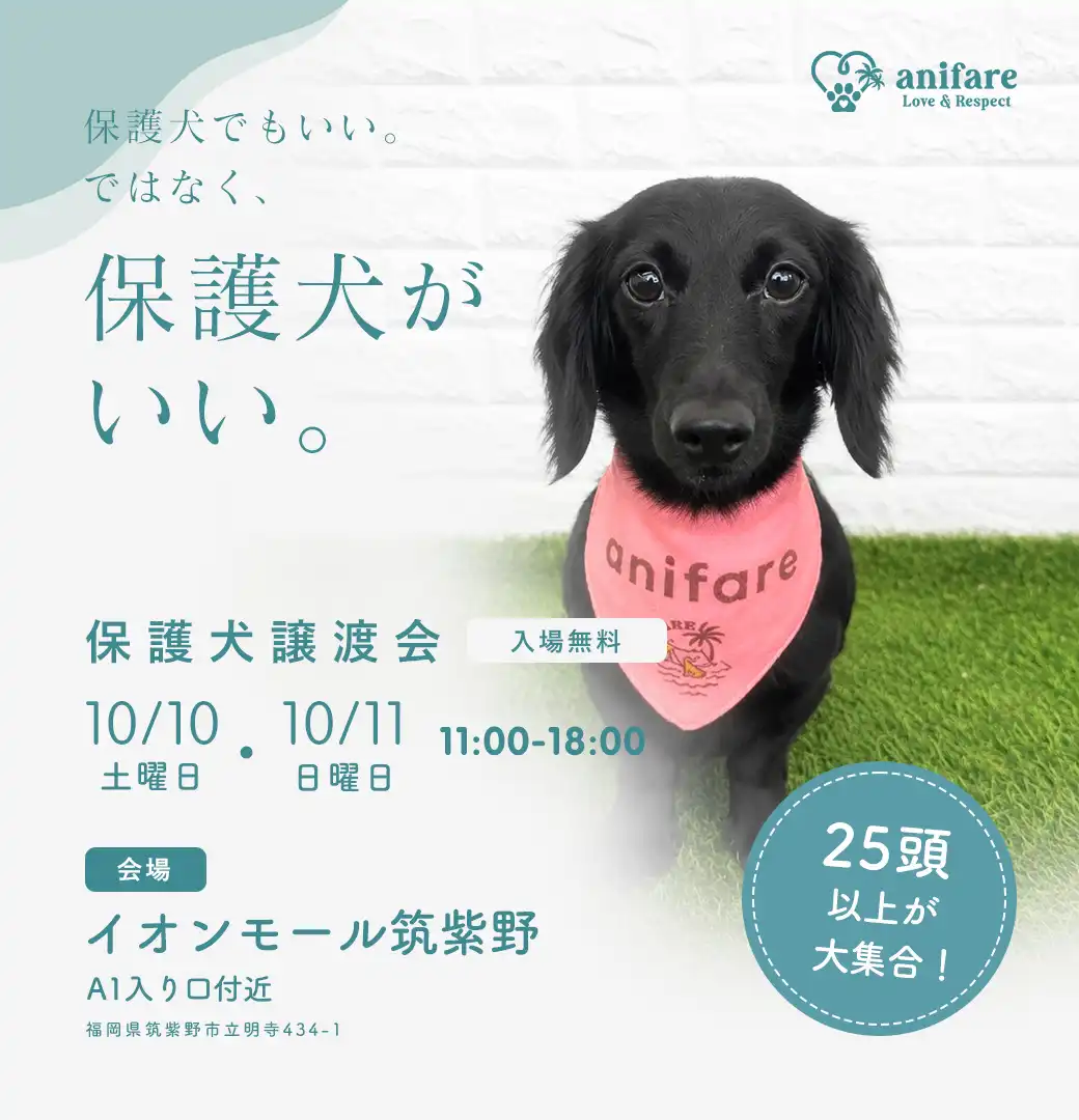 保護犬譲渡会