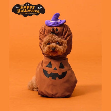 ハロウィンアイテム特集