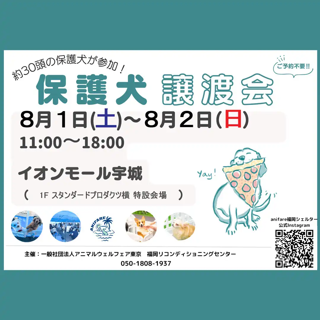 約30頭の保護犬ちゃんがイオンモール宇城に大集合!