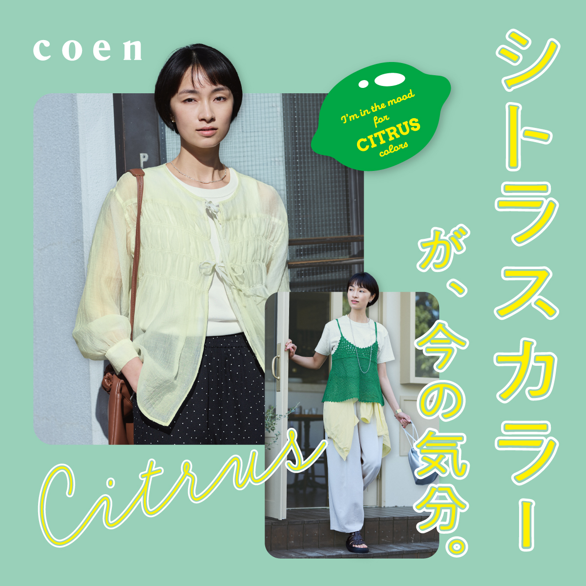 シトラスカラー♪