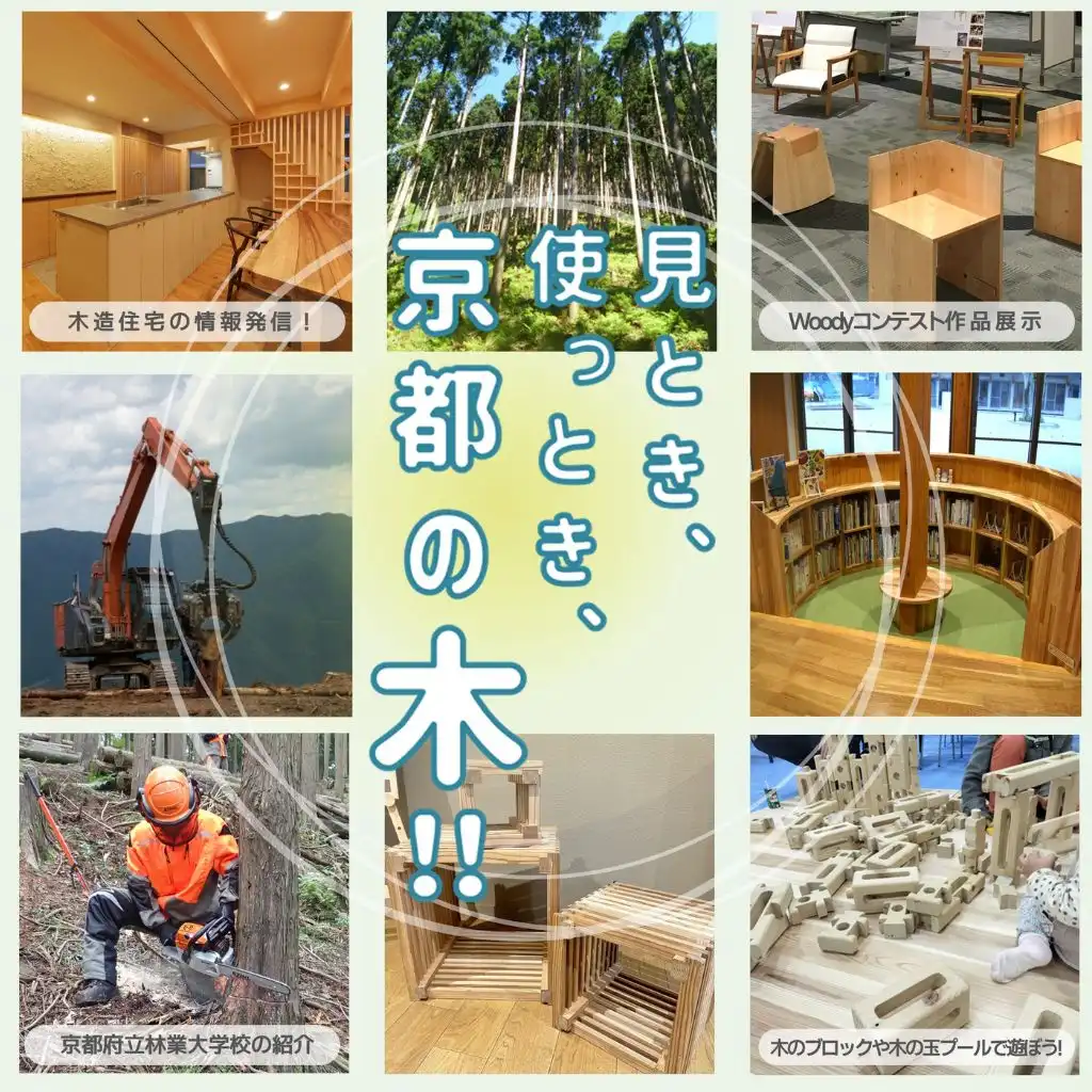 見とき、使っとき、京都の木！！
