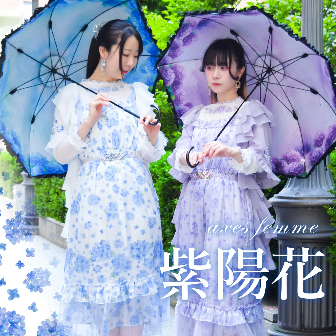 【毎年人気の紫陽花シリーズ今年も登場!】