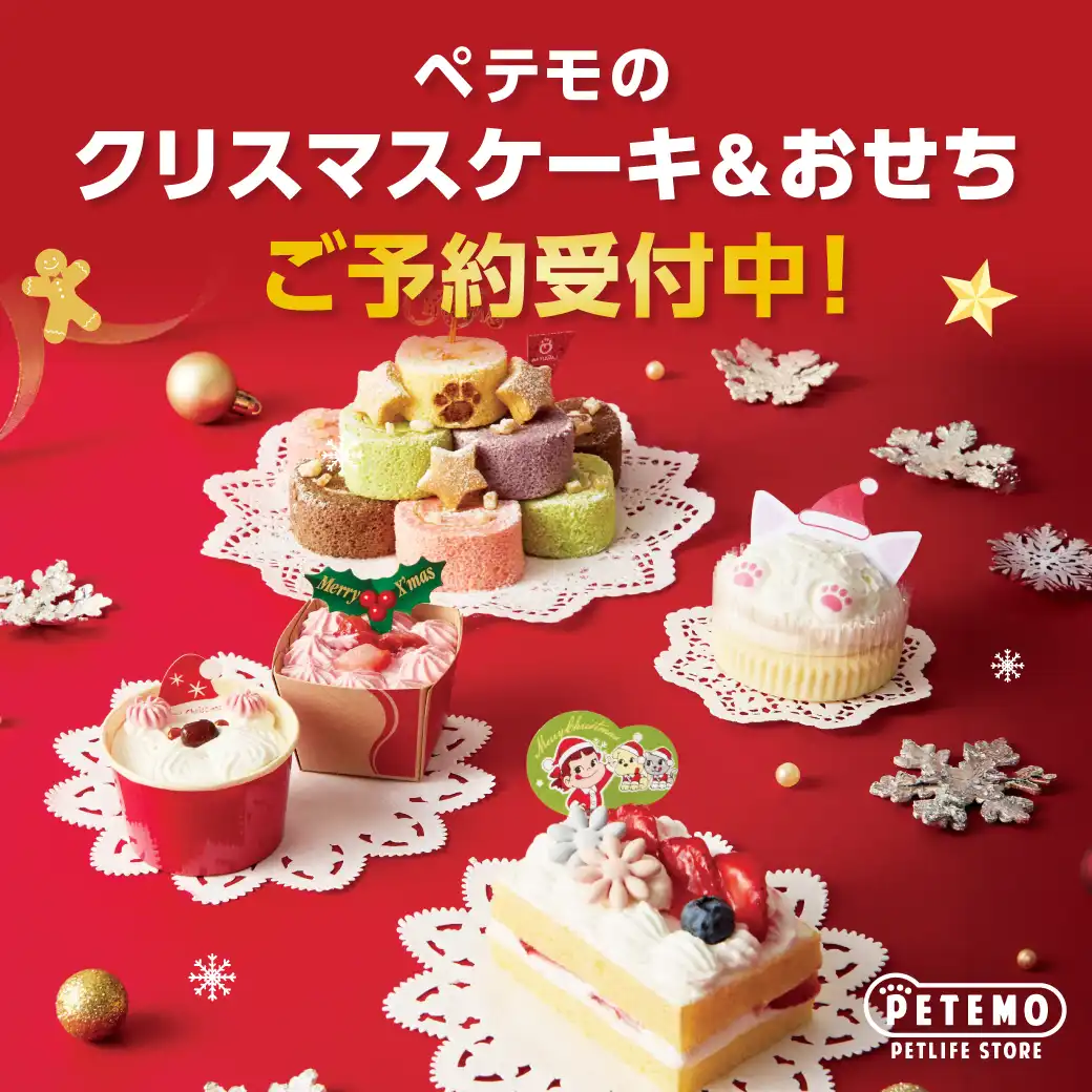 ペテモのクリスマスケーキ＆おせちご予約開始！