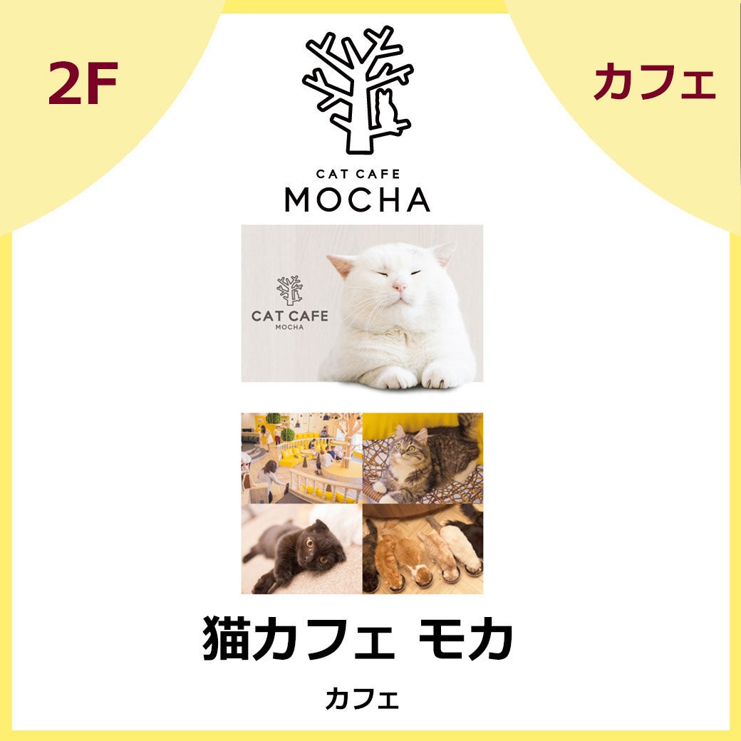 猫カフェ モカ