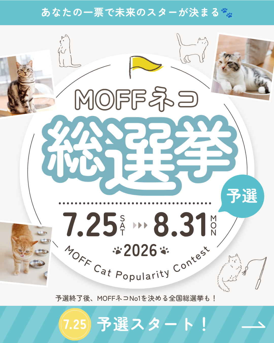 ネコ総選挙2026開催します！