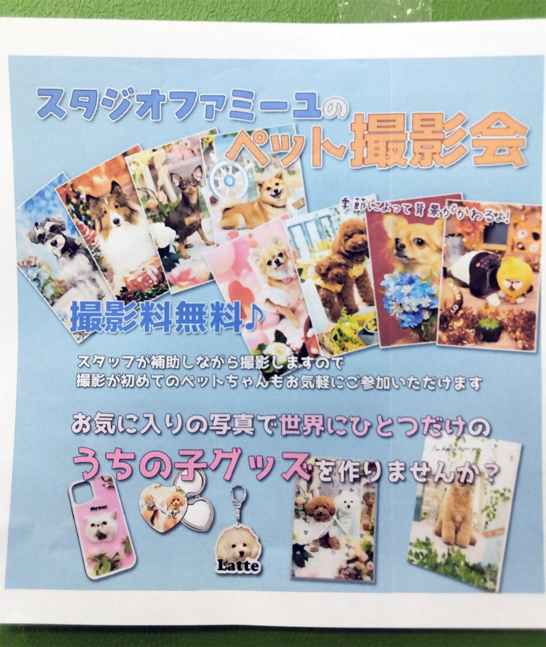 スタジオファミーユのプロカメラマンによるペットの撮影会
