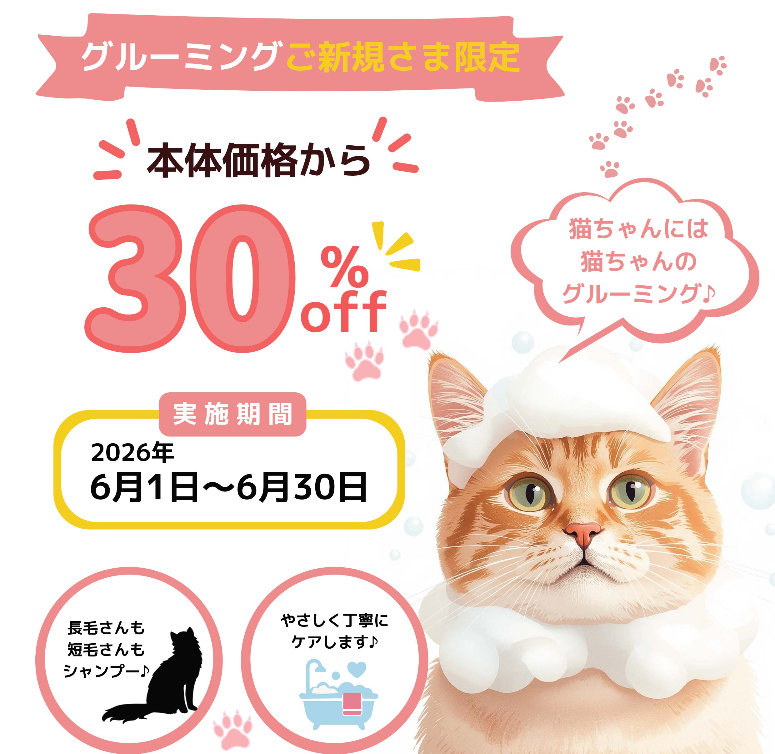 【新規ご利用限定】ねこちゃんグルーミングコース30％OFF