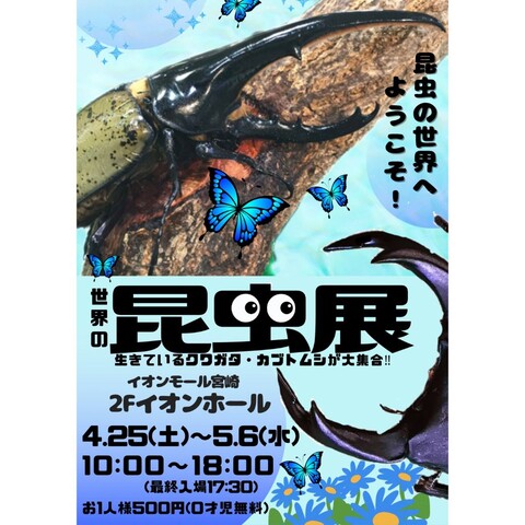 GW特別企画「世界の昆虫展」開催！