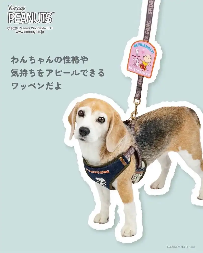 取付簡単♪メッセージワッペン