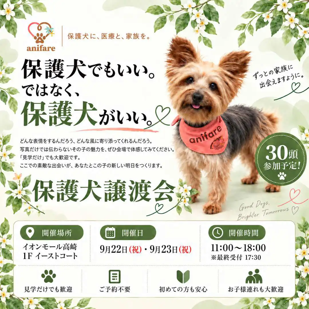 保護犬譲渡会