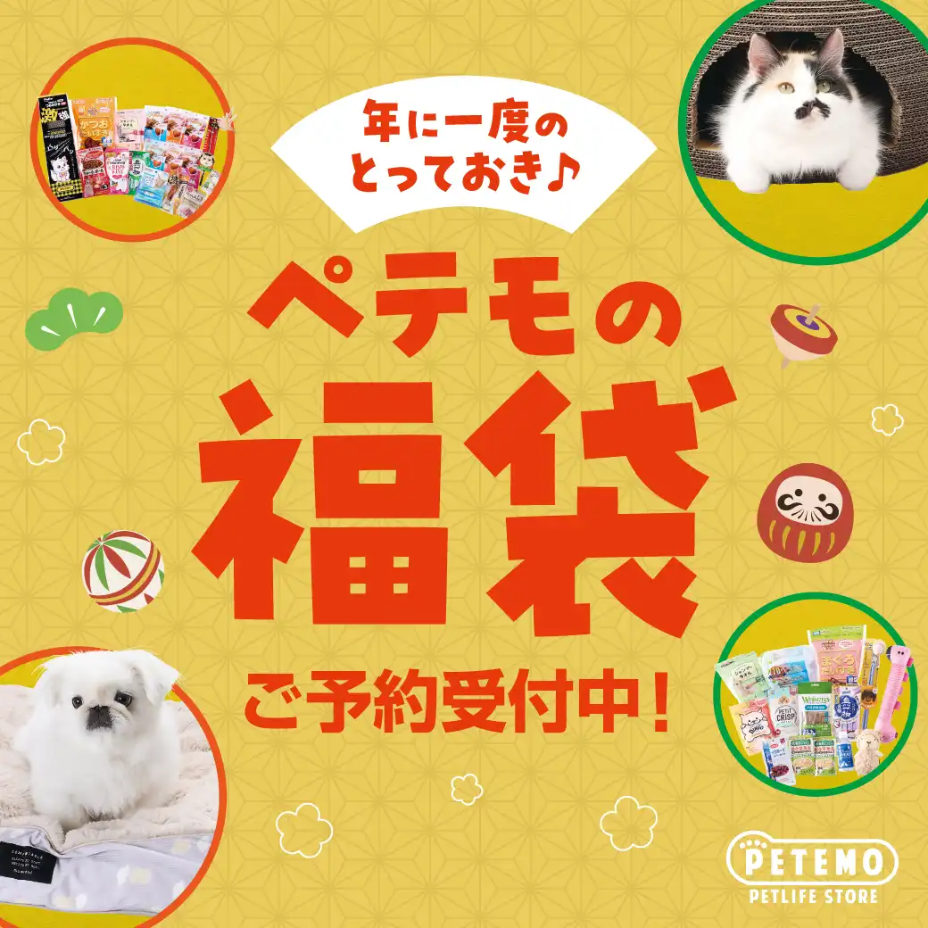 ペテモの福袋2027 ご予約開始!!