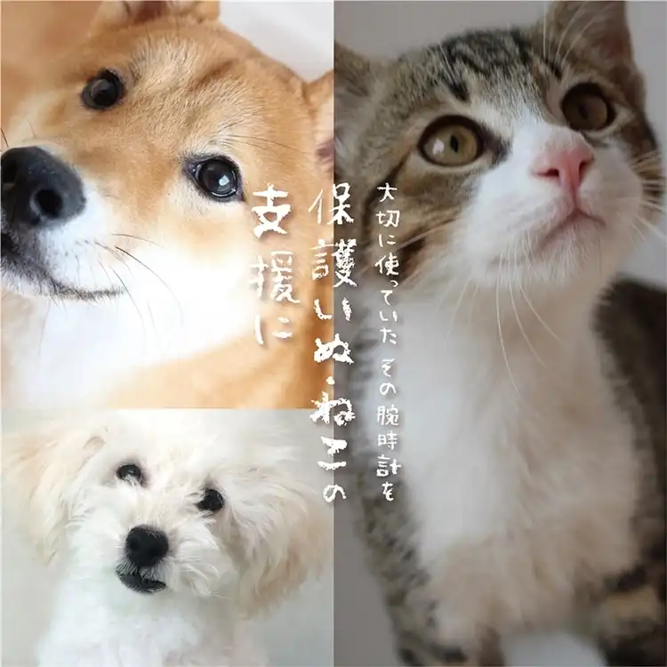 10/16(金)～腕時計下取り『大切に使っていた腕時計を保護いぬ・ねこの支援に』