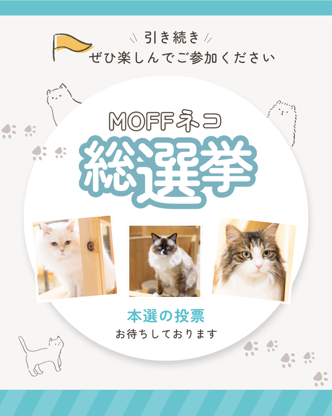 MOFFネコ総選挙