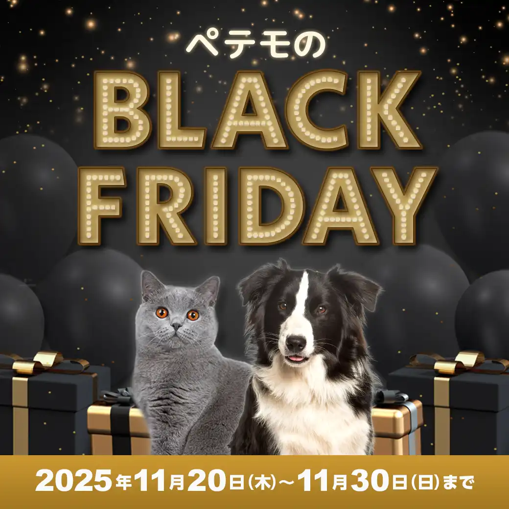＼ブラックフライデー2025／まとめ買いがお得♪