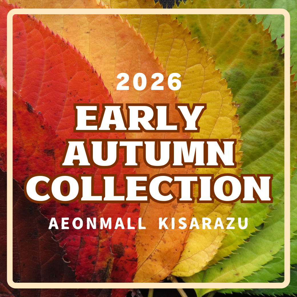 Early Autumnコレクション