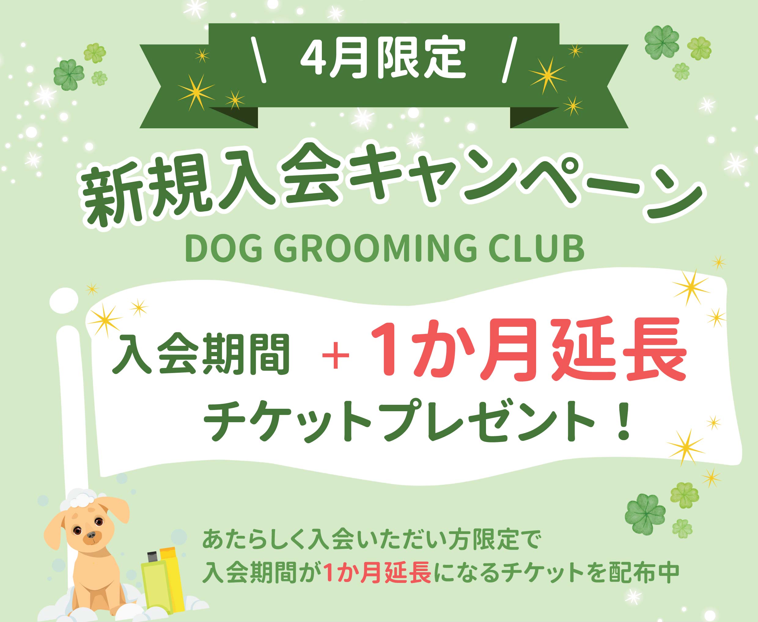 新規入会キャンペーン　ドッググルーミングクラブ