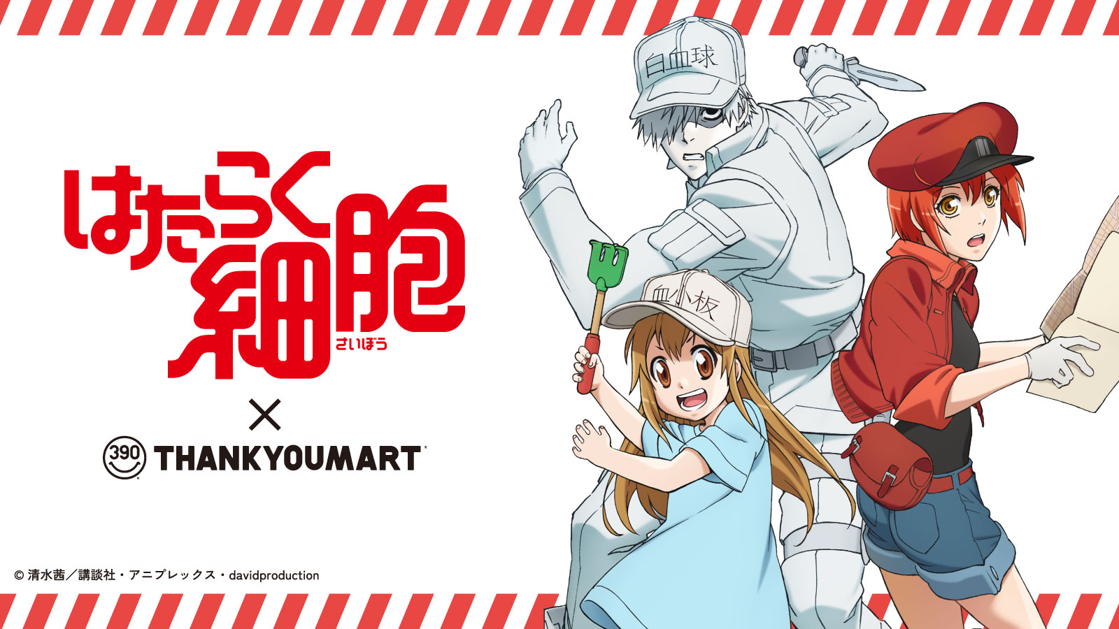 『はたらく細胞』の 限定アイテムが新登場!