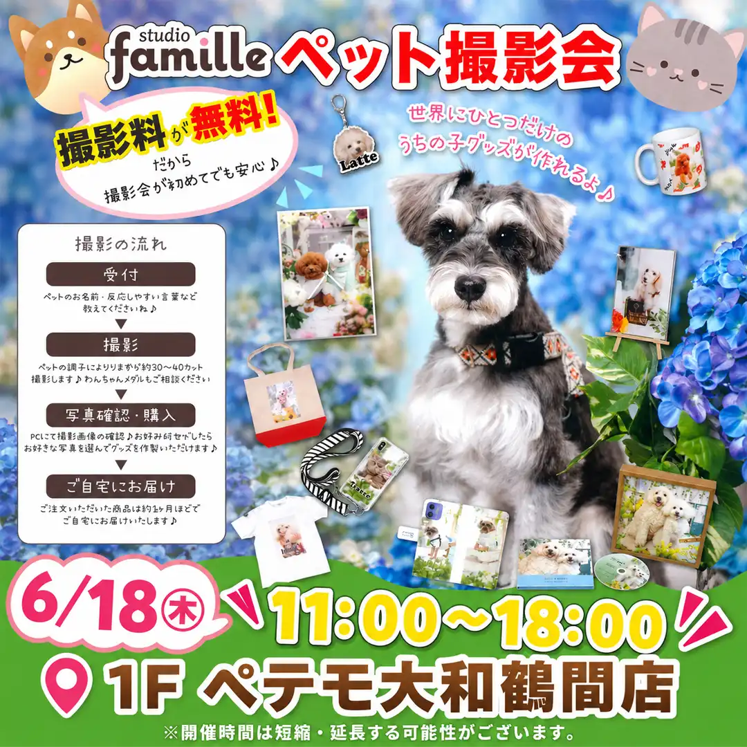 撮影料無料!スタジオファミーユ ペット撮影会